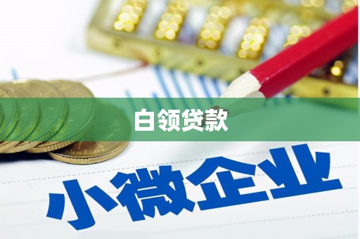 岳西白领贷款