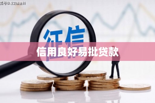 岳西信用良好易批贷款