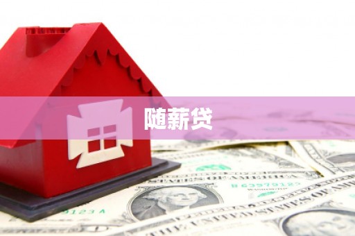 岳西随薪贷
