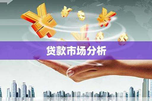 岳西贷款市场分析