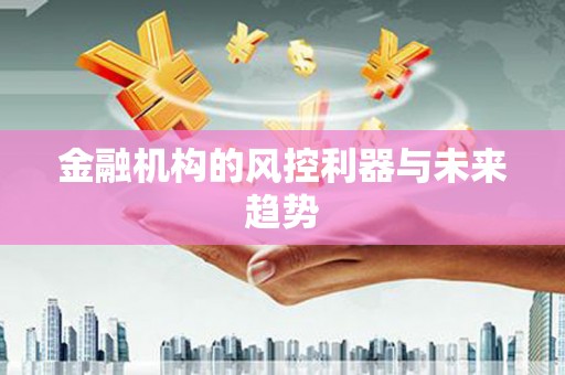 岳西金融机构的风控利器与未来趋势