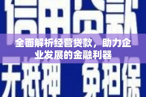岳西全面解析经营贷款，助力企业发展的金融利器