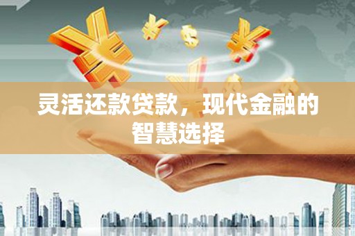 岳西灵活还款贷款，现代金融的智慧选择