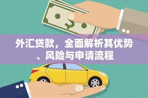 岳西外汇贷款，全面解析其优势、风险与申请流程
