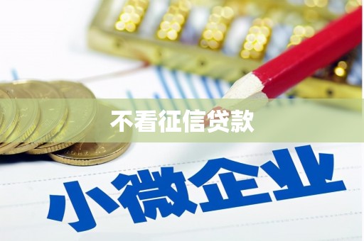 岳西不看征信贷款