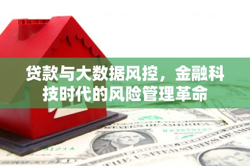 岳西贷款与大数据风控，金融科技时代的风险管理革命