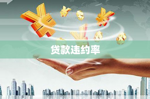 岳西贷款违约率