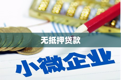 岳西无抵押贷款
