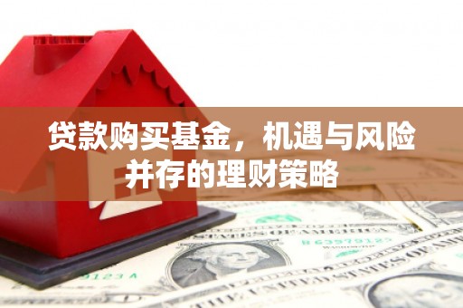岳西贷款购买基金，机遇与风险并存的理财策略