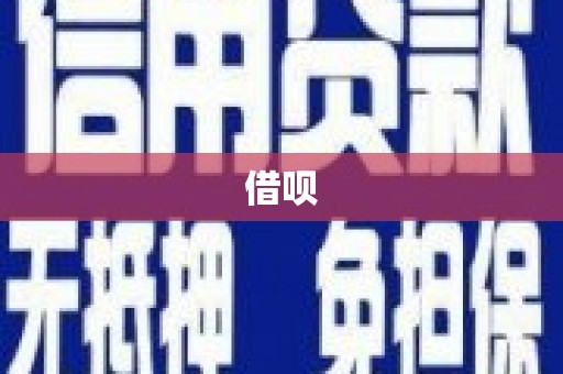 岳西借呗