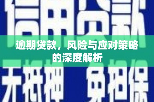 岳西逾期贷款，风险与应对策略的深度解析