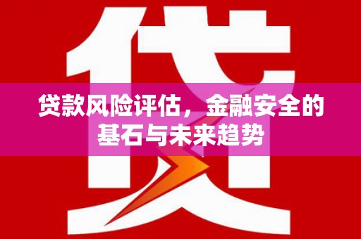 岳西贷款风险评估，金融安全的基石与未来趋势