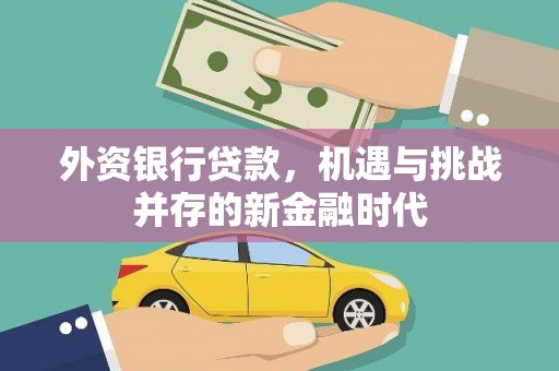岳西外资银行贷款，机遇与挑战并存的新金融时代