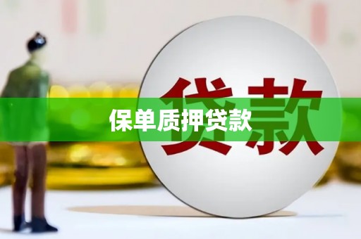 岳西保单质押贷款