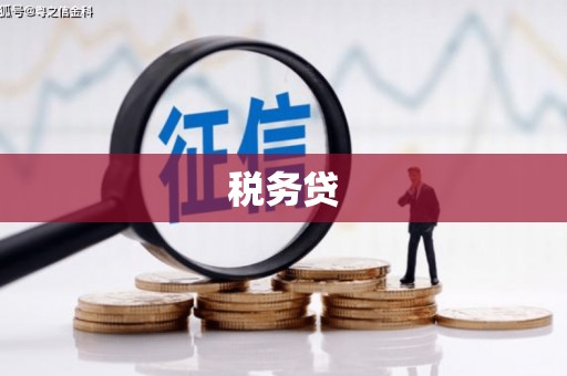 岳西税务贷