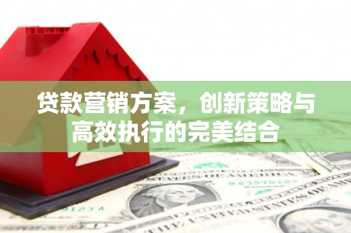 岳西贷款营销方案，创新策略与高效执行的完美结合