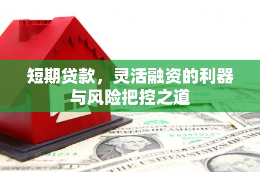 岳西短期贷款，灵活融资的利器与风险把控之道
