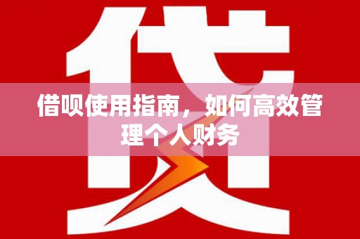 岳西借呗使用指南，如何高效管理个人财务