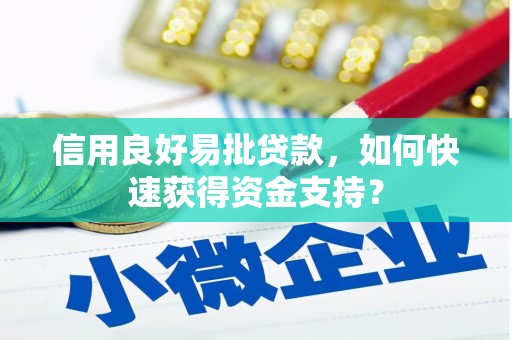 岳西信用良好易批贷款，如何快速获得资金支持？