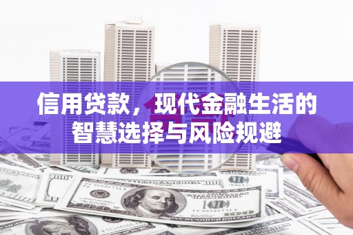 岳西信用贷款，现代金融生活的智慧选择与风险规避
