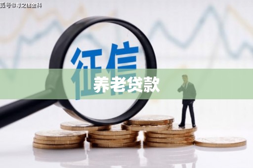 岳西养老贷款