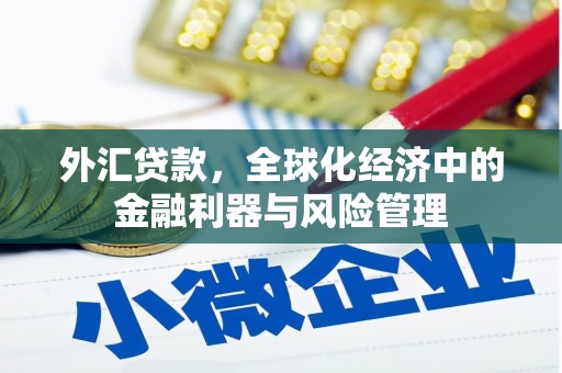 岳西外汇贷款，全球化经济中的金融利器与风险管理
