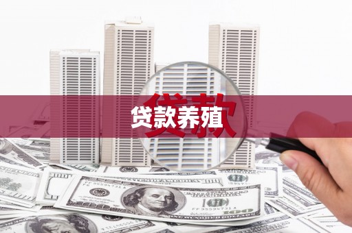 岳西贷款养殖