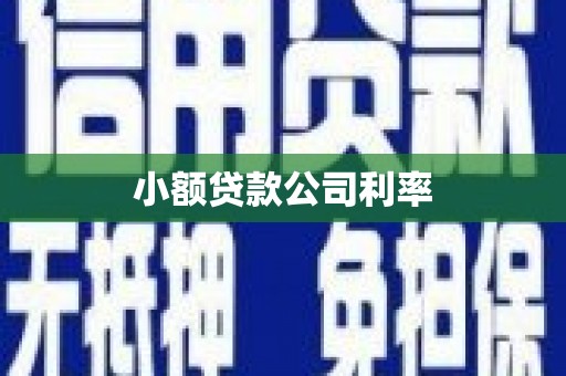 岳西小额贷款公司利率