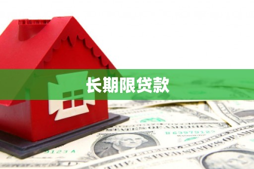 岳西长期限贷款