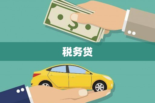 岳西税务贷