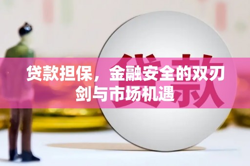 岳西贷款担保，金融安全的双刃剑与市场机遇