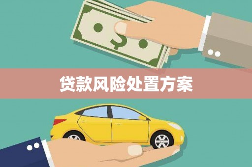 岳西贷款风险处置方案