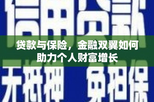 岳西贷款与保险，金融双翼如何助力个人财富增长