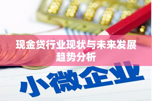 岳西现金贷行业现状与未来发展趋势分析