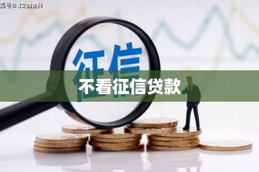 岳西不看征信贷款
