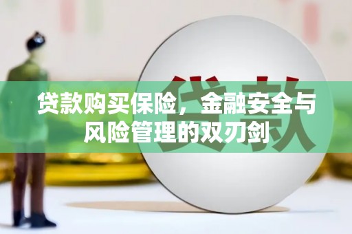 岳西贷款购买保险，金融安全与风险管理的双刃剑