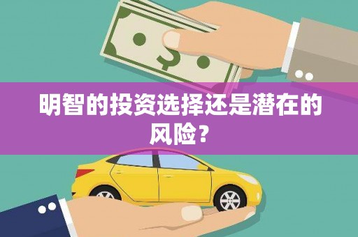 岳西明智的投资选择还是潜在的风险？