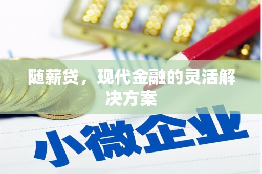 岳西随薪贷，现代金融的灵活解决方案