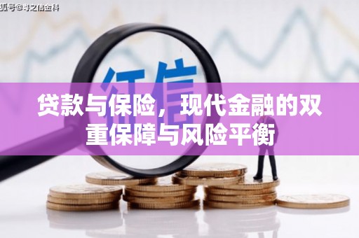 岳西贷款与保险，现代金融的双重保障与风险平衡