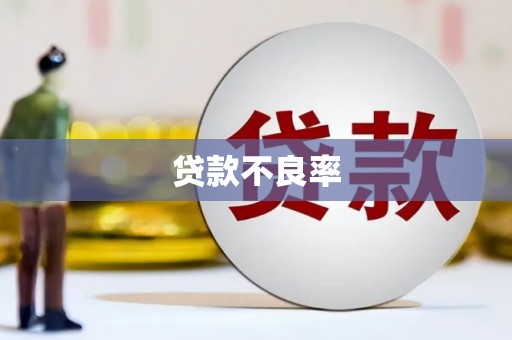 岳西贷款不良率