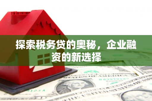 岳西探索税务贷的奥秘，企业融资的新选择