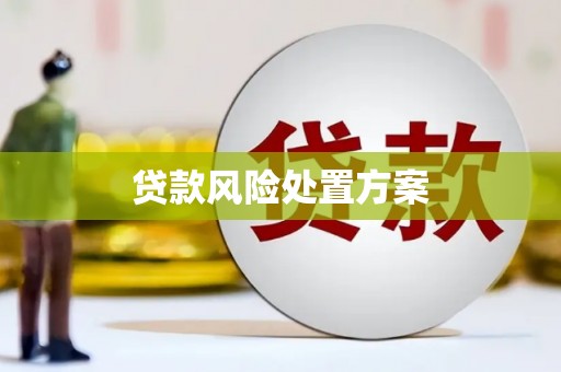 岳西贷款风险处置方案