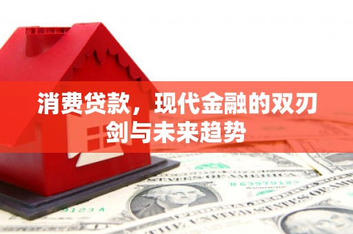 岳西消费贷款，现代金融的双刃剑与未来趋势