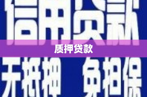 岳西质押贷款