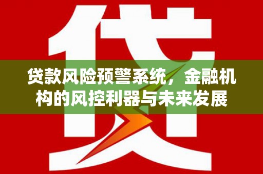 岳西贷款风险预警系统，金融机构的风控利器与未来发展