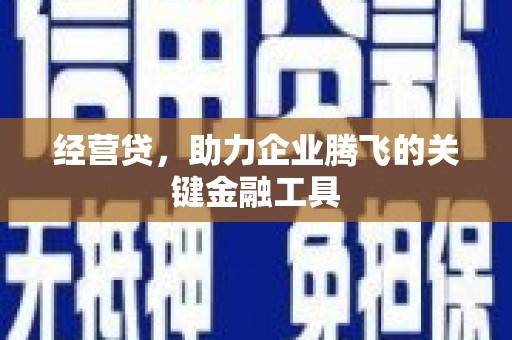 岳西经营贷，助力企业腾飞的关键金融工具
