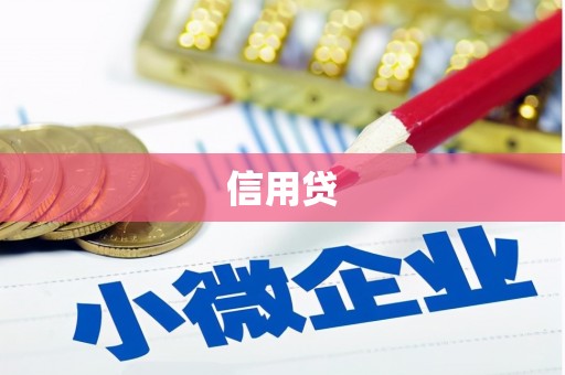 岳西信用贷