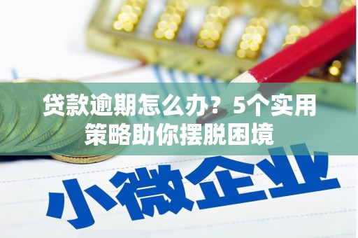 岳西贷款逾期怎么办？5个实用策略助你摆脱困境