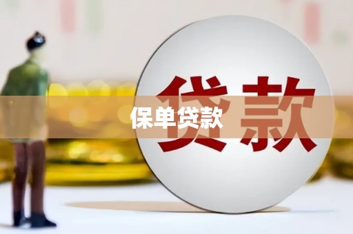 岳西保单贷款