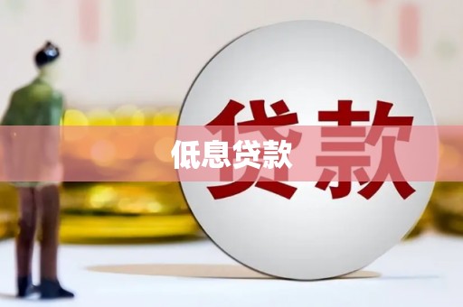 岳西低息贷款